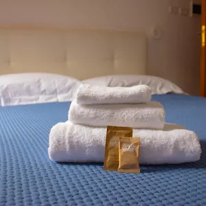 https://oasi-san-francesco-roma.it-romehotels.com